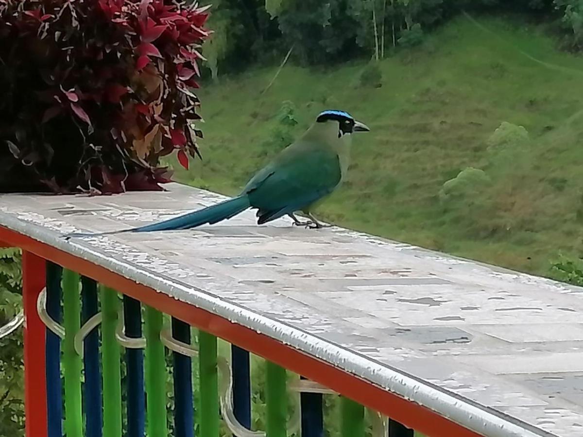 Mirador Hotel